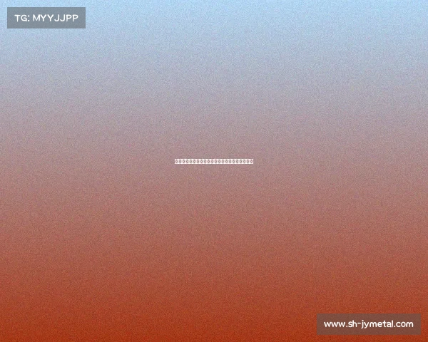 身体对抗技巧与训练方法的全方位解析与应用探索