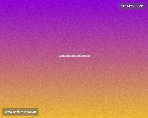 足球俱乐部转会计划调整应对新赛季挑战与球队战术升级